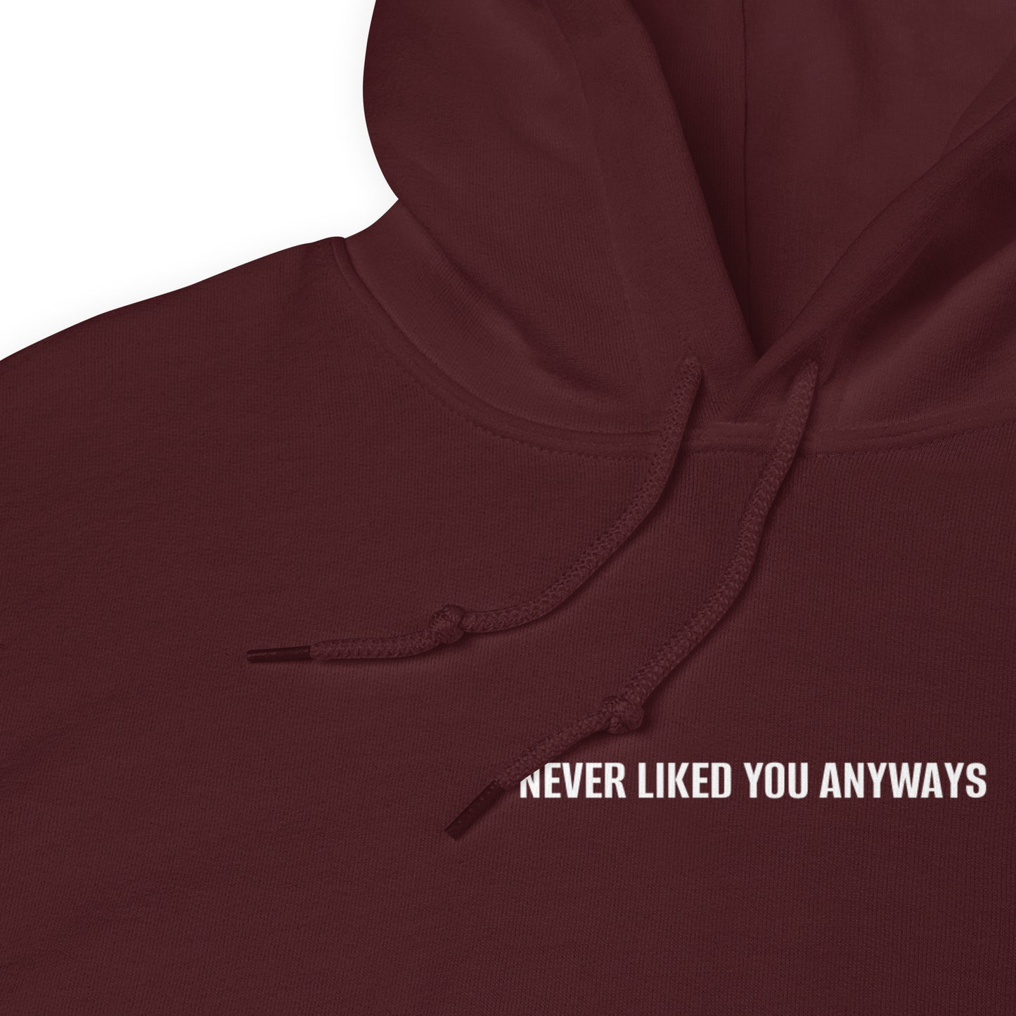 Never Liked You Anyways Hoodie